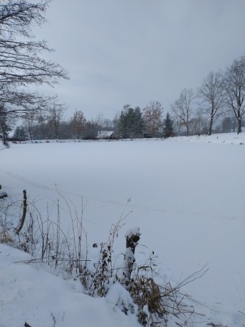 IMG_20260110_113147391
