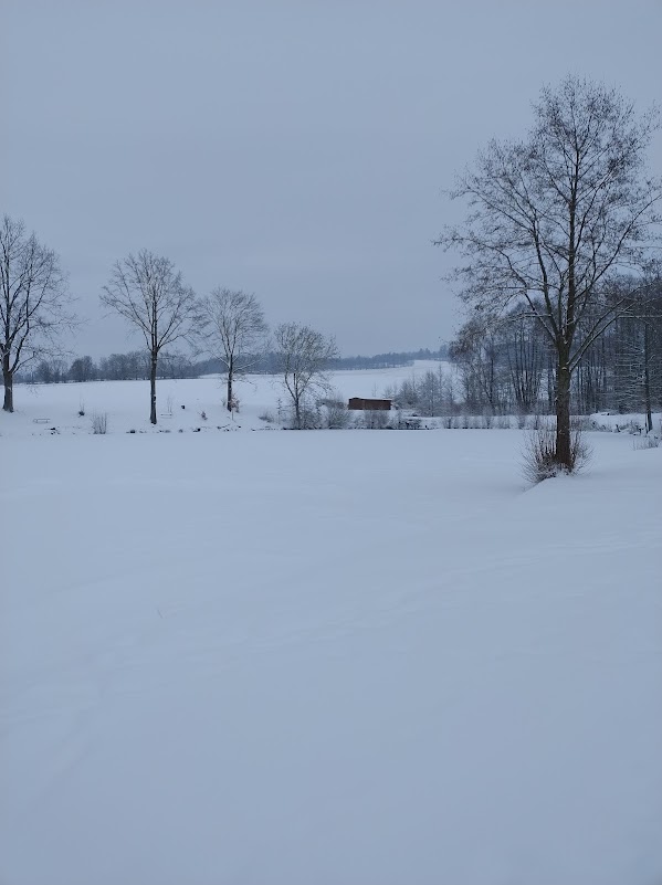 IMG_20260110_091436572