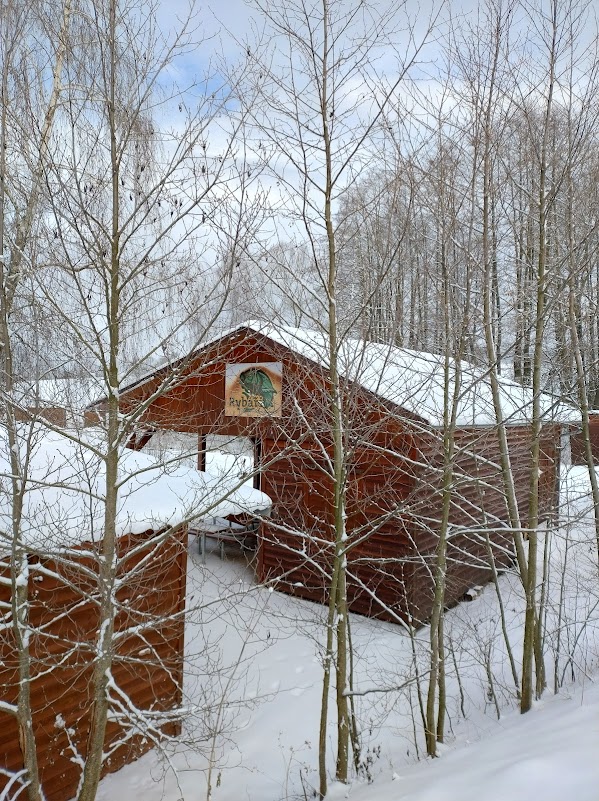 IMG_20260110_111900038_HDR
